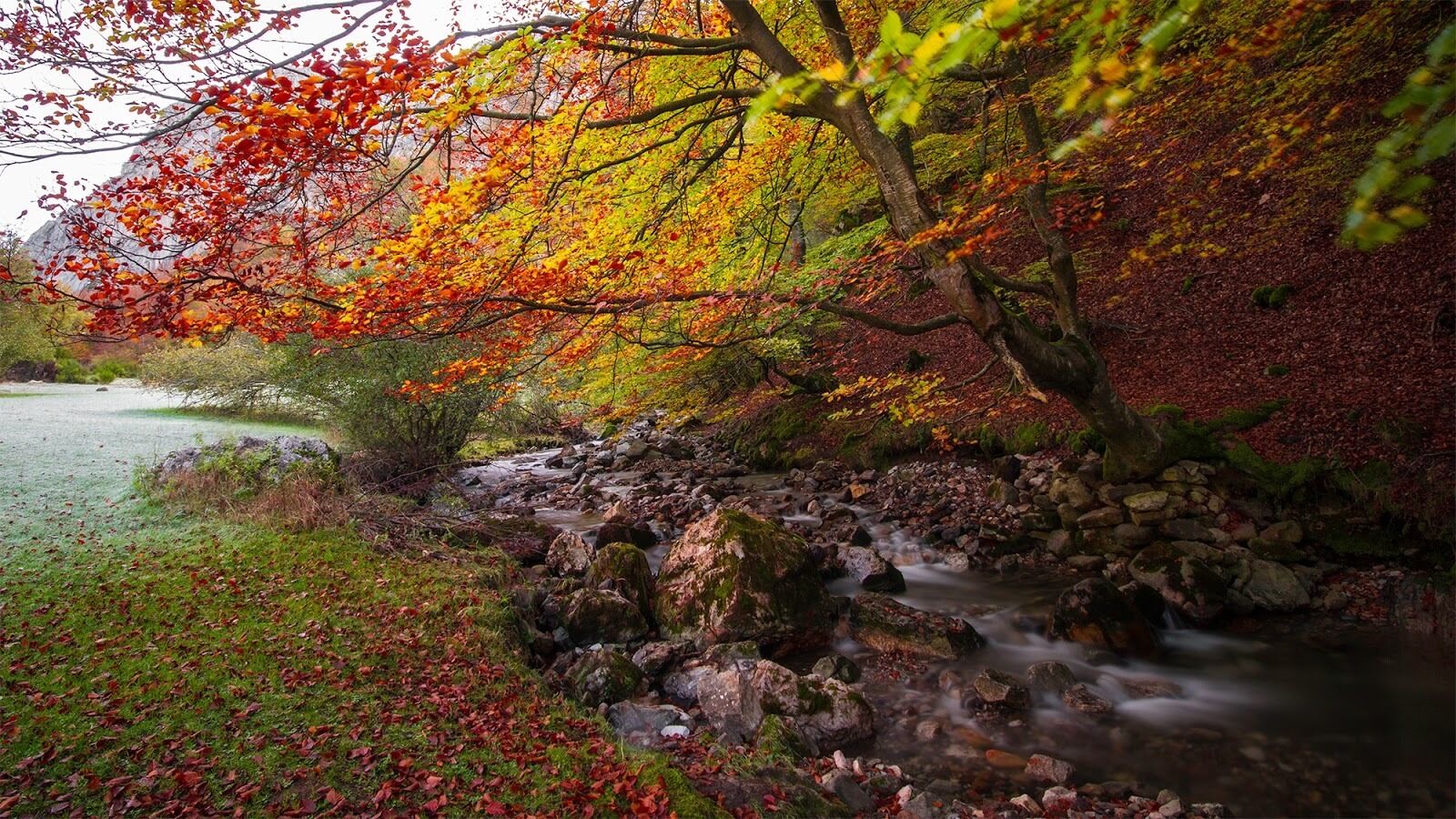 A natural landscape with a stream, rocks, and trees with autumn leaves.