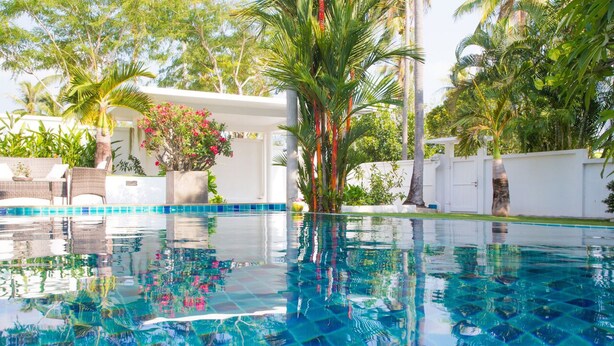 Une piscine d’un bleu éclatant, dont le fond est recouvert de carreaux, entourée d’une végétation luxuriante et de palmiers.