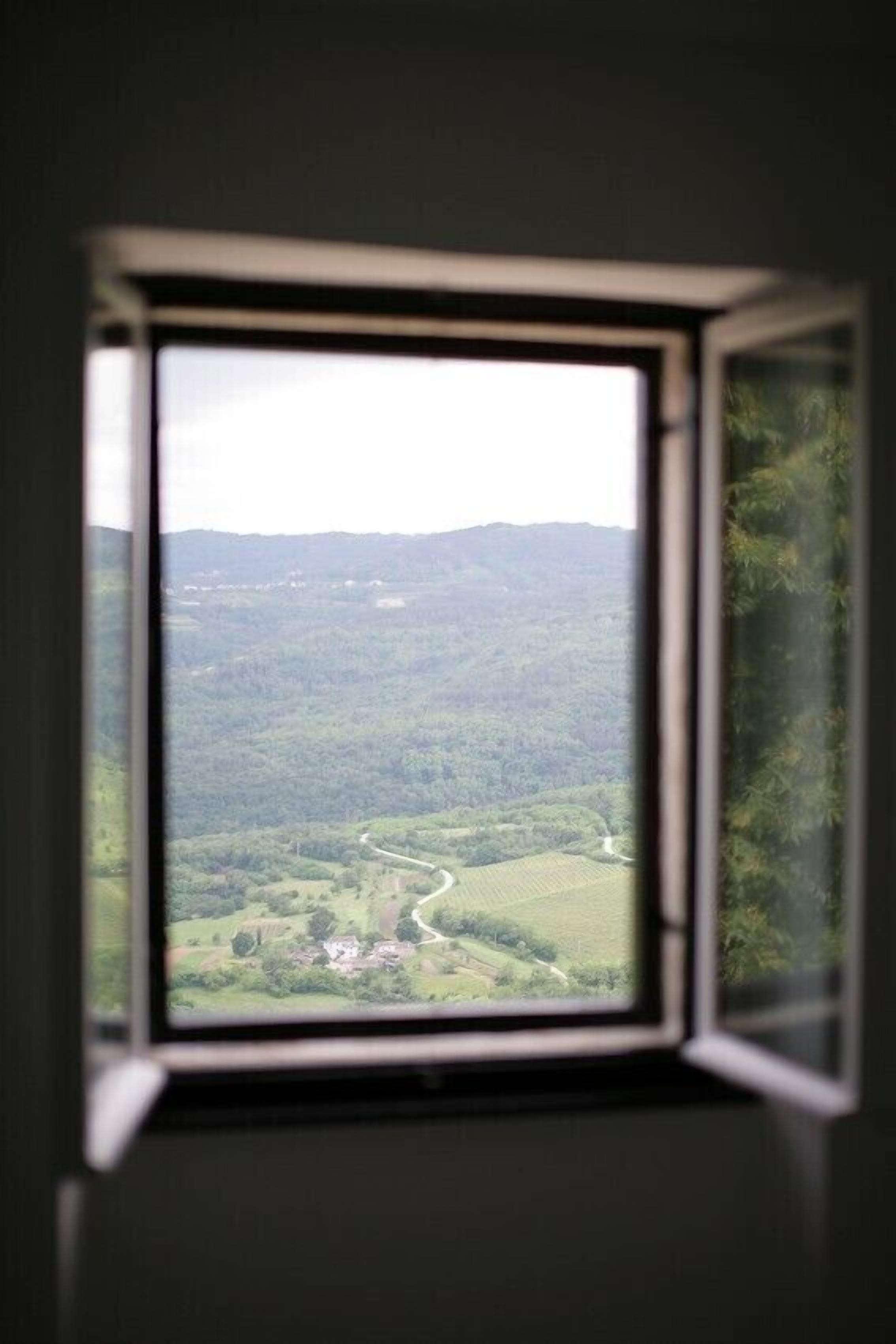 Ein Fenster mit Blick auf eine grüne Landschaft, darunter Felder und eine kurvenreiche Straße.