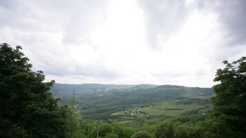 A panoramic view of a lush valley with rolling hills and a winding road.