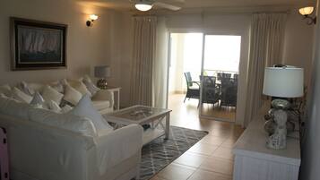 Télévision, lecteur de DVD, livres, vidéothÚque