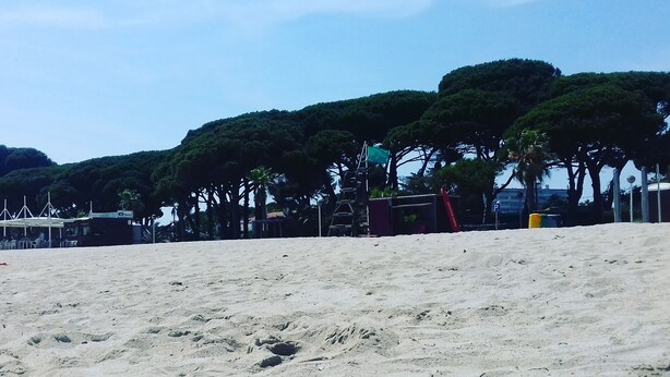 A sandy beach with trees and a few structures in the background.