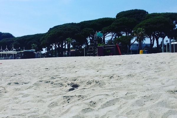 Plage à proximité, serviettes de plage