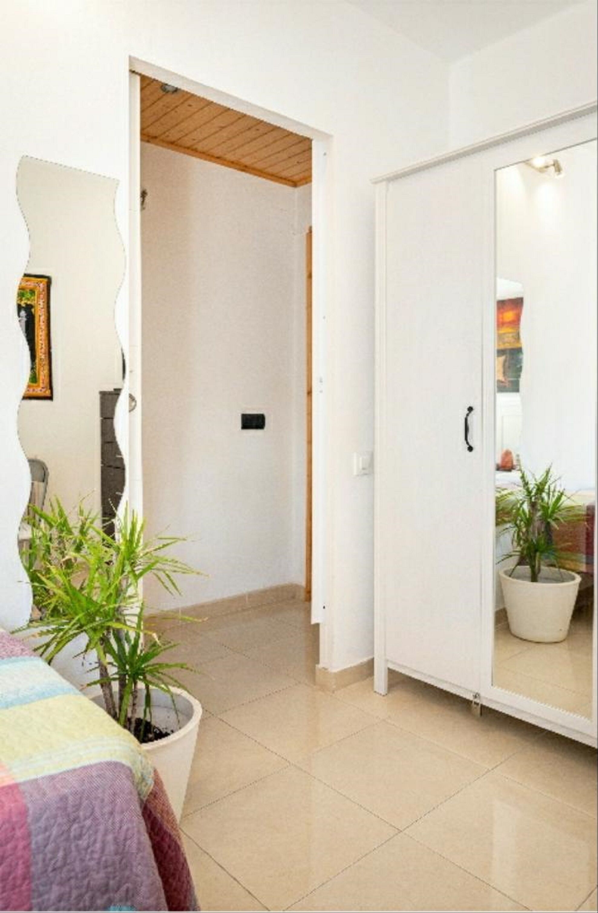 A bedroom with a bed, a potted plant, a mirror, and a wardrobe.