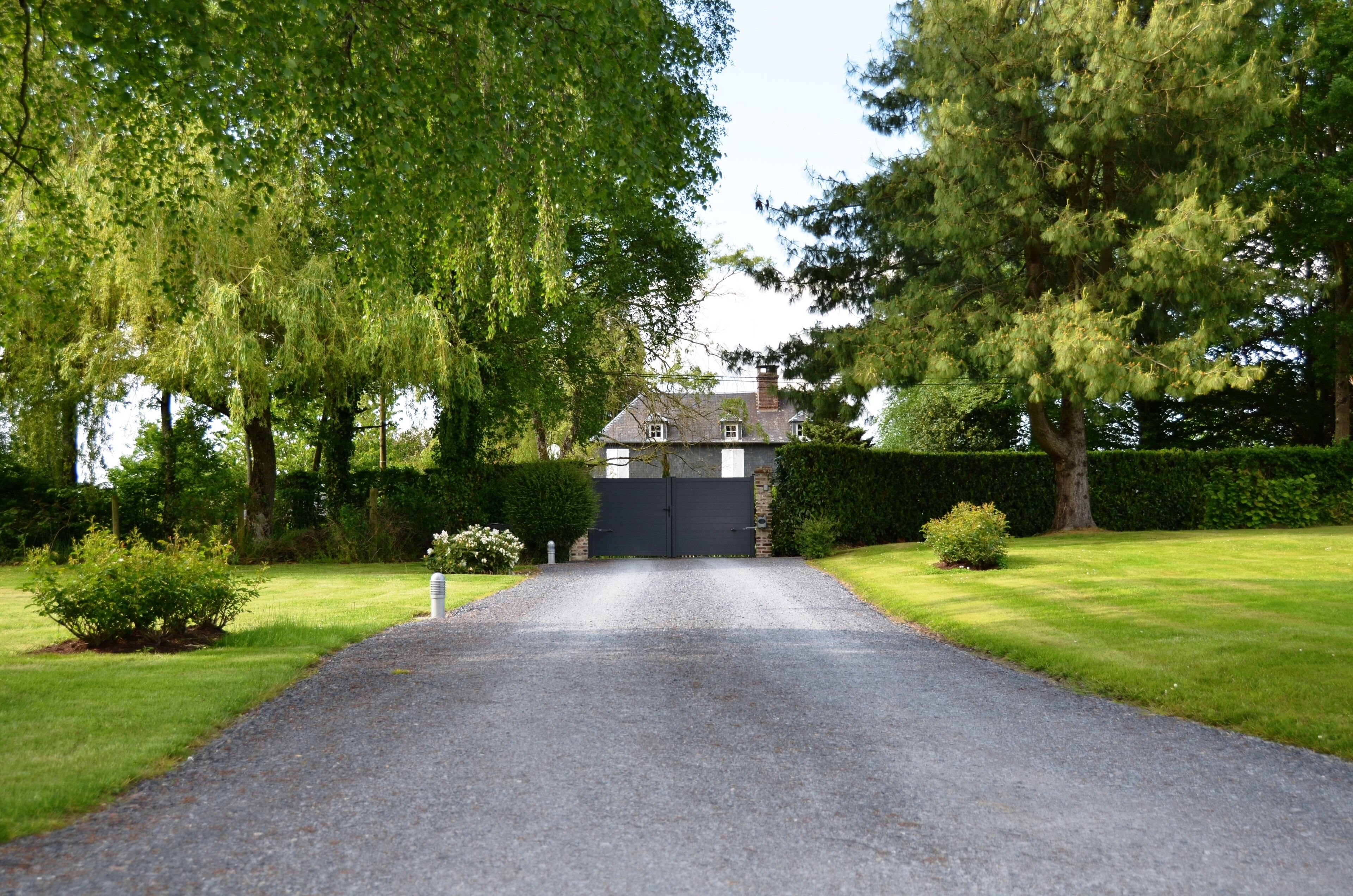 A driveway leading to a house with a dark gate, surrounded by lush greenery and trees.