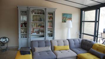 Smart TV, DVD player, books, video library