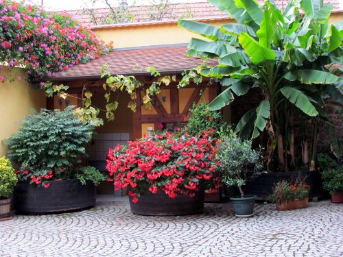 Itterswiller, G îte 3*, 6 personnes, sur Domaine Viticole,
Piscine en 2026