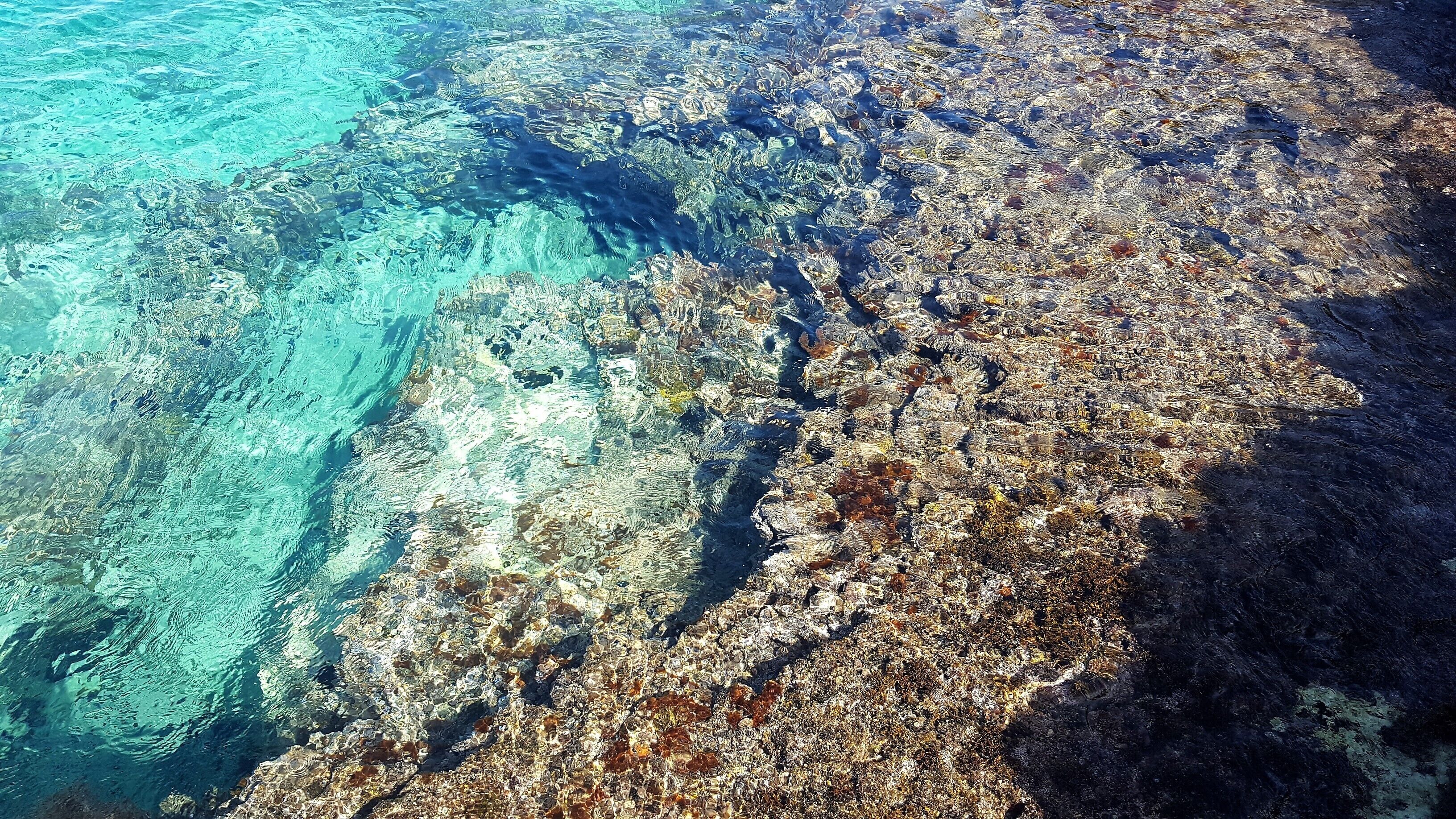 A rocky shoreline with clear water.