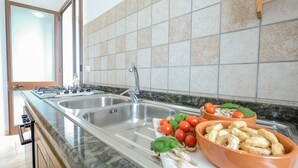 Cucina con lavello doppio, piano cottura a gas e un bancone con pomodori freschi, basilico e funghi.
