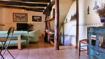 Tv, eldstad och böcker