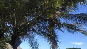 Un jardin tropical, avec des palmiers et des fleurs roses, qui mène à une plage bordée d’une eau d’un bleu limpide.