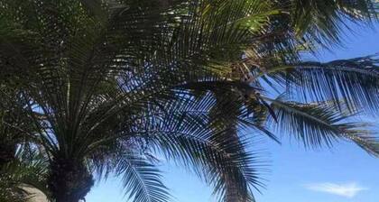 Increíble frente a la playa: vista al mar, condominios de playas blancas en Puerto Vallarta