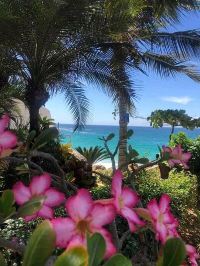 Amazing Beachfront- Oceanview, White Beaches Puerto Vallarta Condo