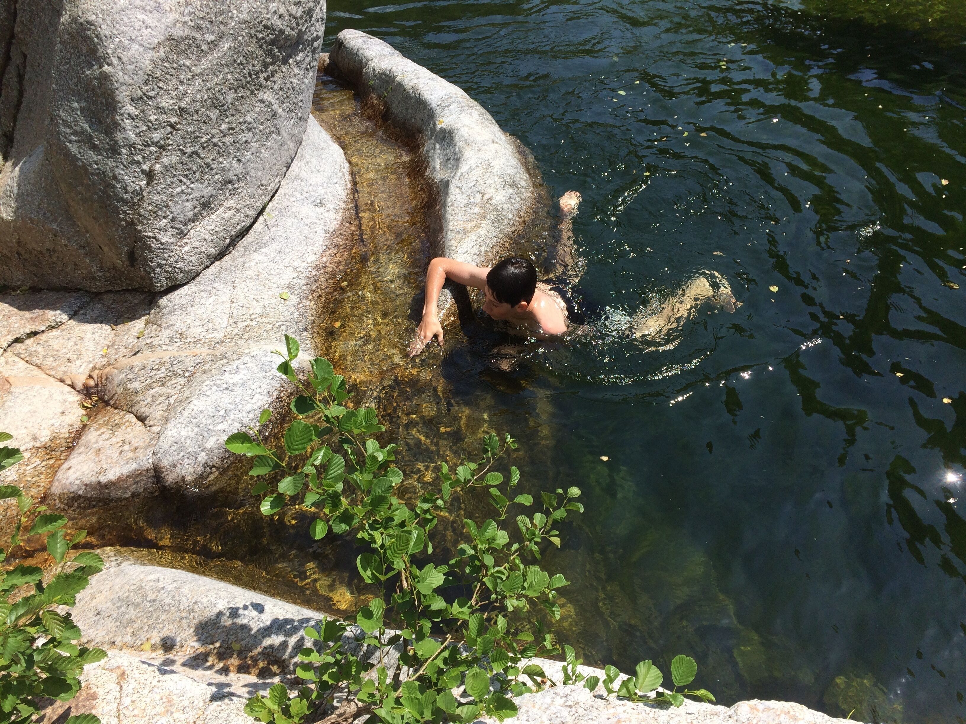 A person swimming in a natural pool surrounded by rocks and greenery.