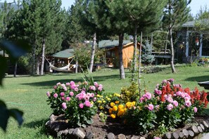 Jardim