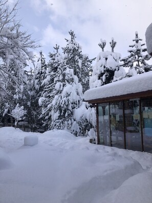 Exterior - Nesilce Tatil Koyu (Mengen)