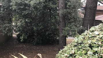 Detalle del exterior