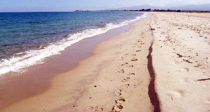 Maison, piscine, havre de paix