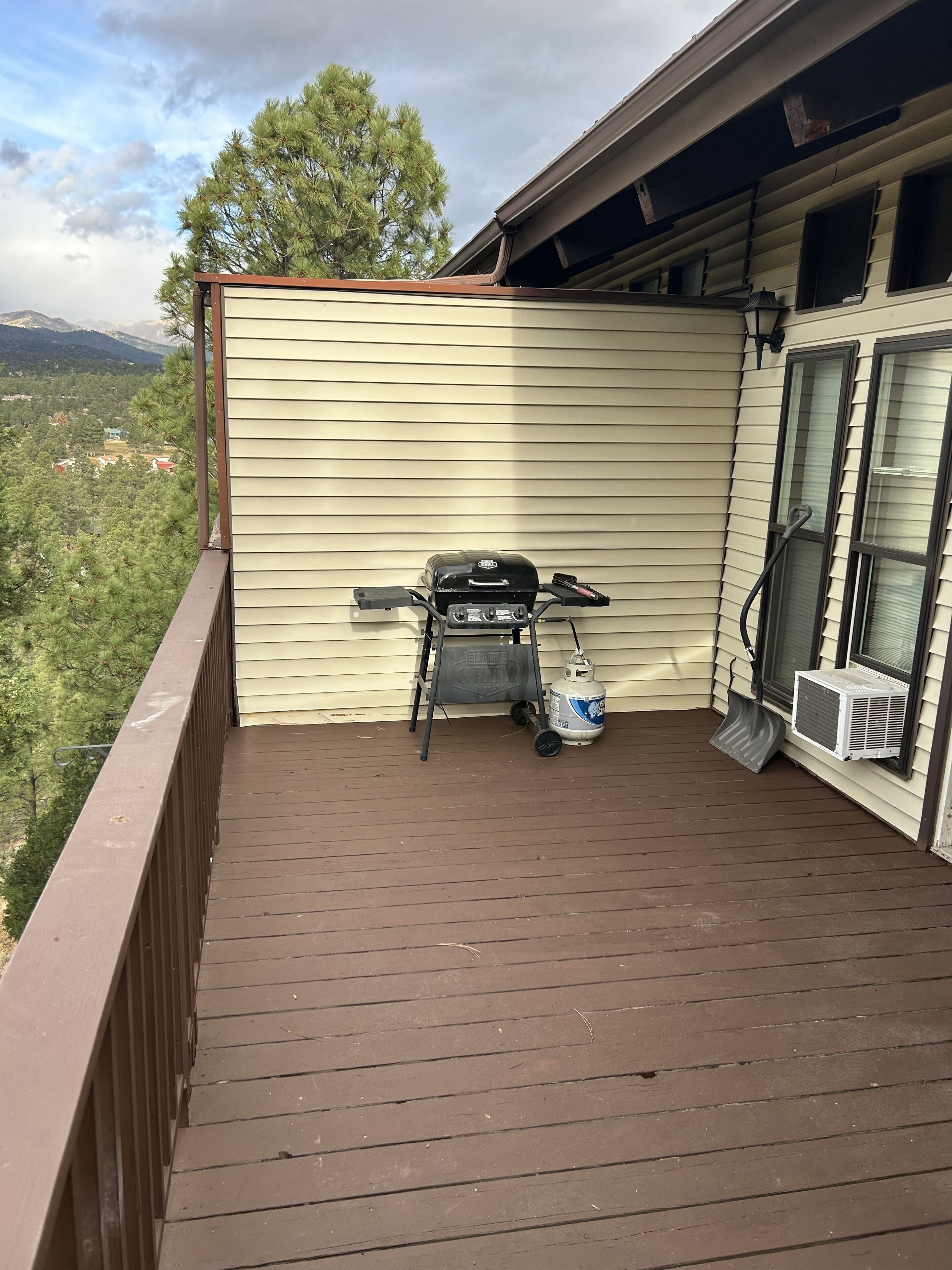 Een overdekt buitengebied met een barbecue, een propaantank en een airconditioner.