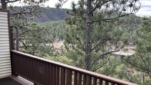 A wooden deck with a metal railing, overlooking a forested area with pine trees and a distant view of a town.