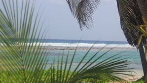 Una playa con agua turquesa cristalina, arena dorada y palmeras.