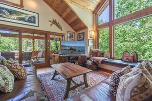 Smart TV, fireplace, DVD player, books