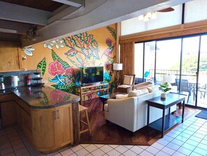 Smart TV, DVD player, books