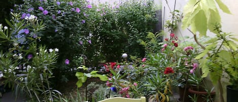 Jardines del alojamiento