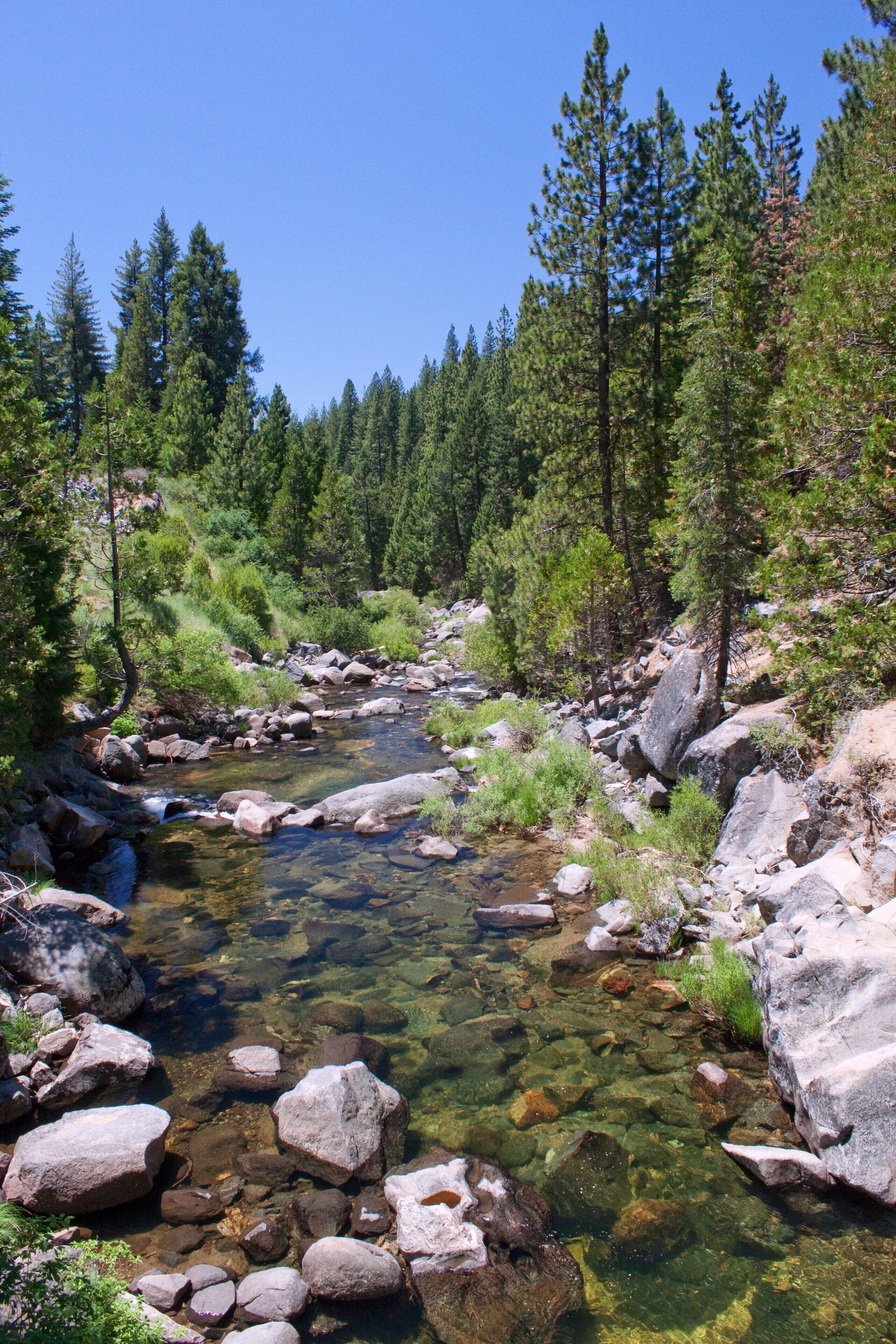 Un ruisseau aux eaux claires, bordé de rochers et d’arbres.