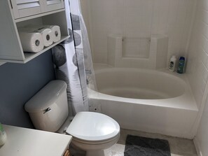 Hair dryer, towels, shampoo, toilet paper - South East Tucson. Clean, Quiet Home (Tucson)