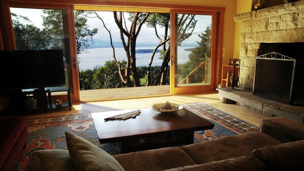 Smart TV, fireplace, books, stereo