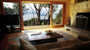 Smart TV, fireplace, books, stereo