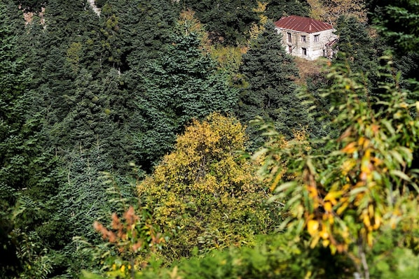 Blick auf die Umgebung