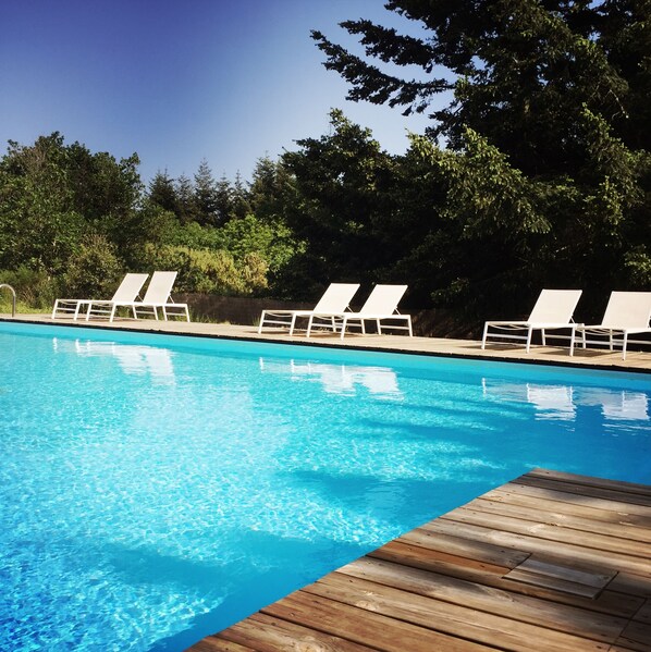 Outdoor pool, open 9:00 AM to 8:00 PM, pool loungers