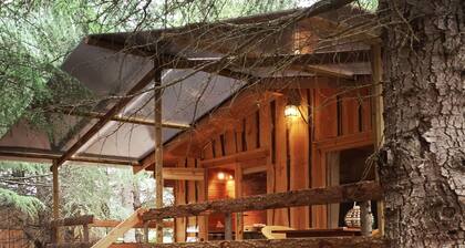 Domaine La Vitarelle