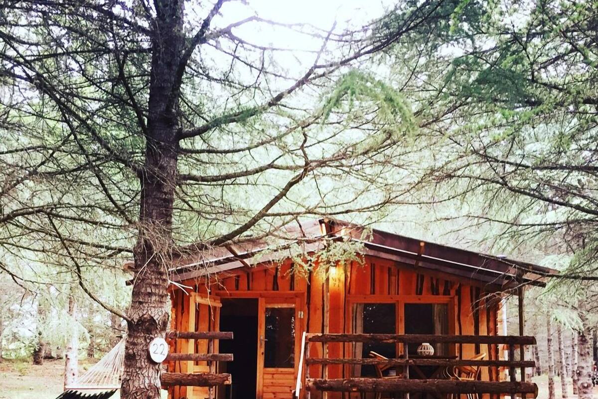 Cabane Familiale, 1 grand lit et 1 canapé-lit, vue jardin | Vue de la chambre