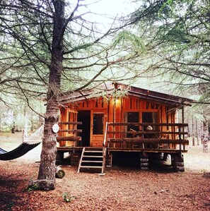 Family Cabin, 1 Queen Bed with Sofa bed, Garden View | View from room - Domaine La Vitarelle (Villanière)