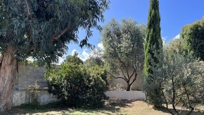A garden with various trees and shrubs, a concrete wall, and a clear blue sky. - Apartment on wooded land 2 minutes from the beaches and the center (Propriano)
