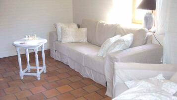 Smart TV, lareira, DVD player, livros