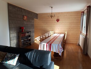 TV, fireplace, DVD player, books