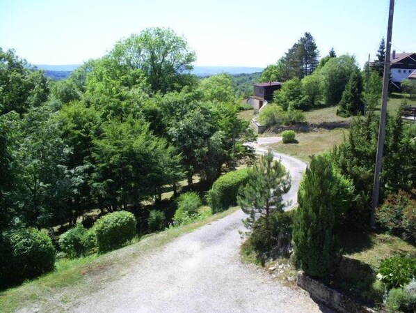 A rural road leading to a house surrounded by dense greenery and trees.