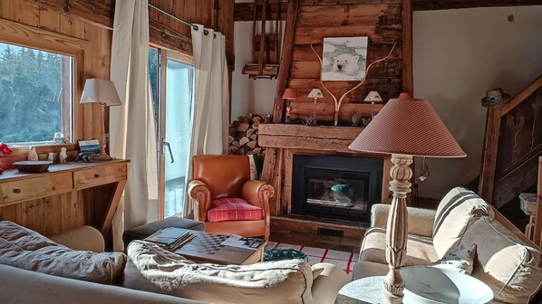 Una televisión, una chimenea, un reproductor de DVD, libros