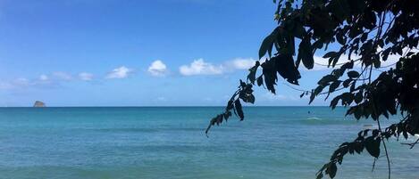 Beach nearby