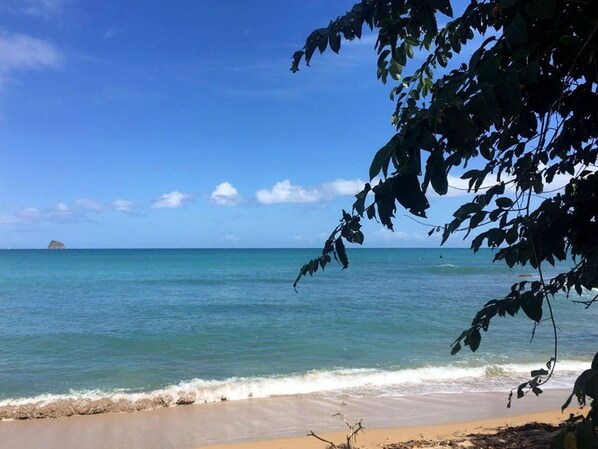 Playa en los alrededores