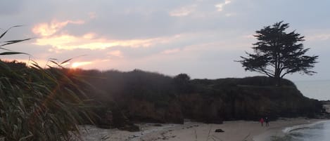 Plage à proximité