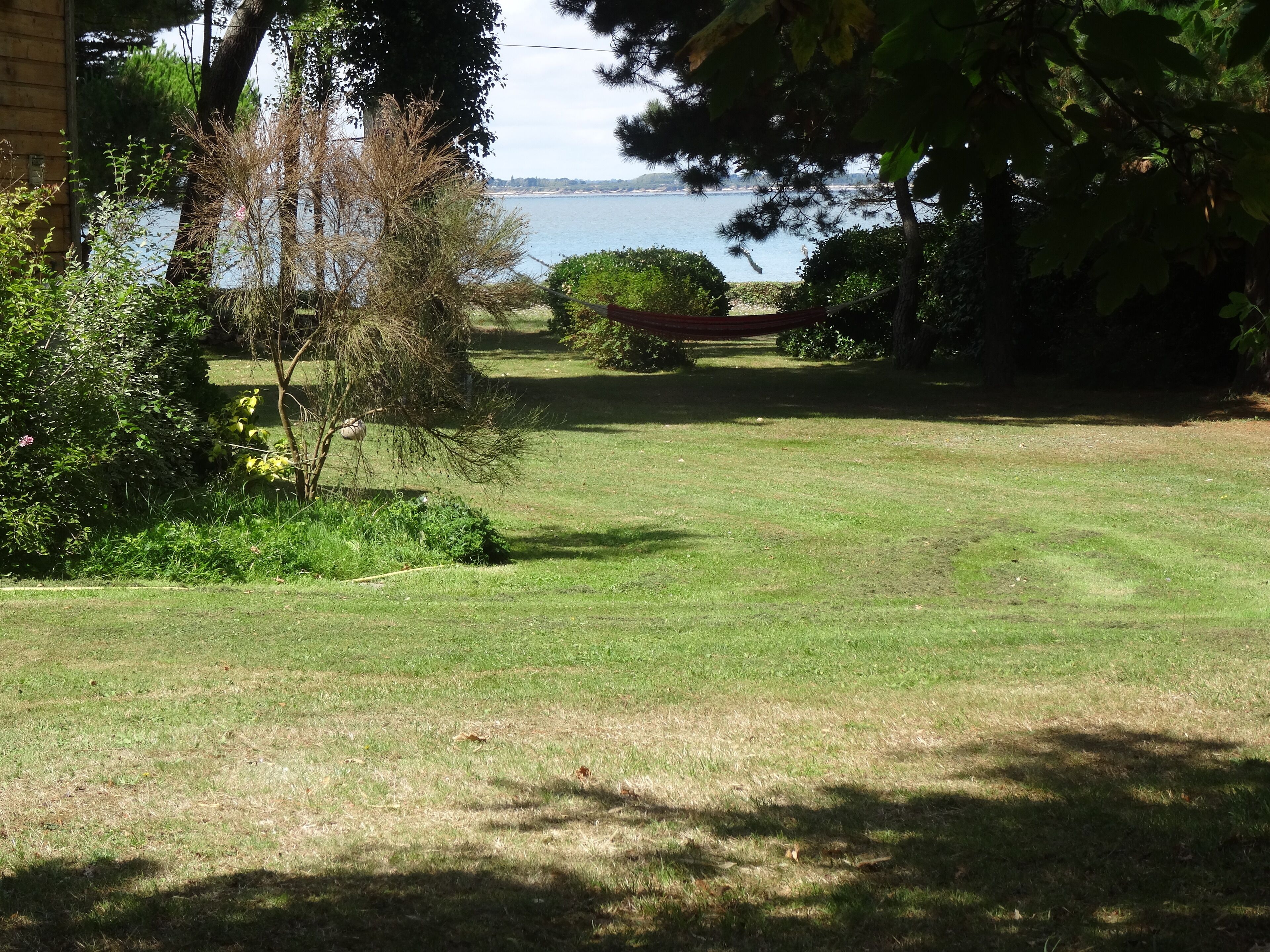 A grassy area with trees and a view of a body of water.