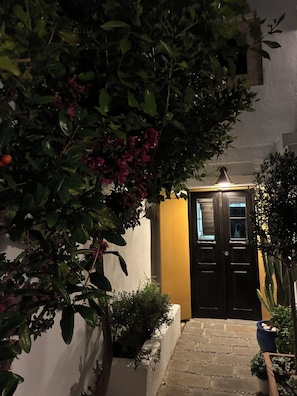 Una estrecha escalera de piedra que conduce a una puerta de madera oscura con paneles de vidrio, rodeada de follaje y una pared amarilla.