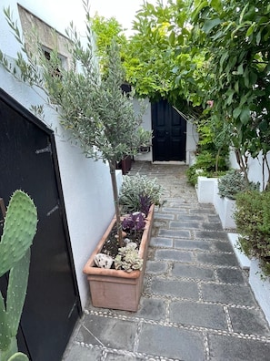 Exterior detail - Beautiful traditional one-room house in the village of Malona (Malonas)