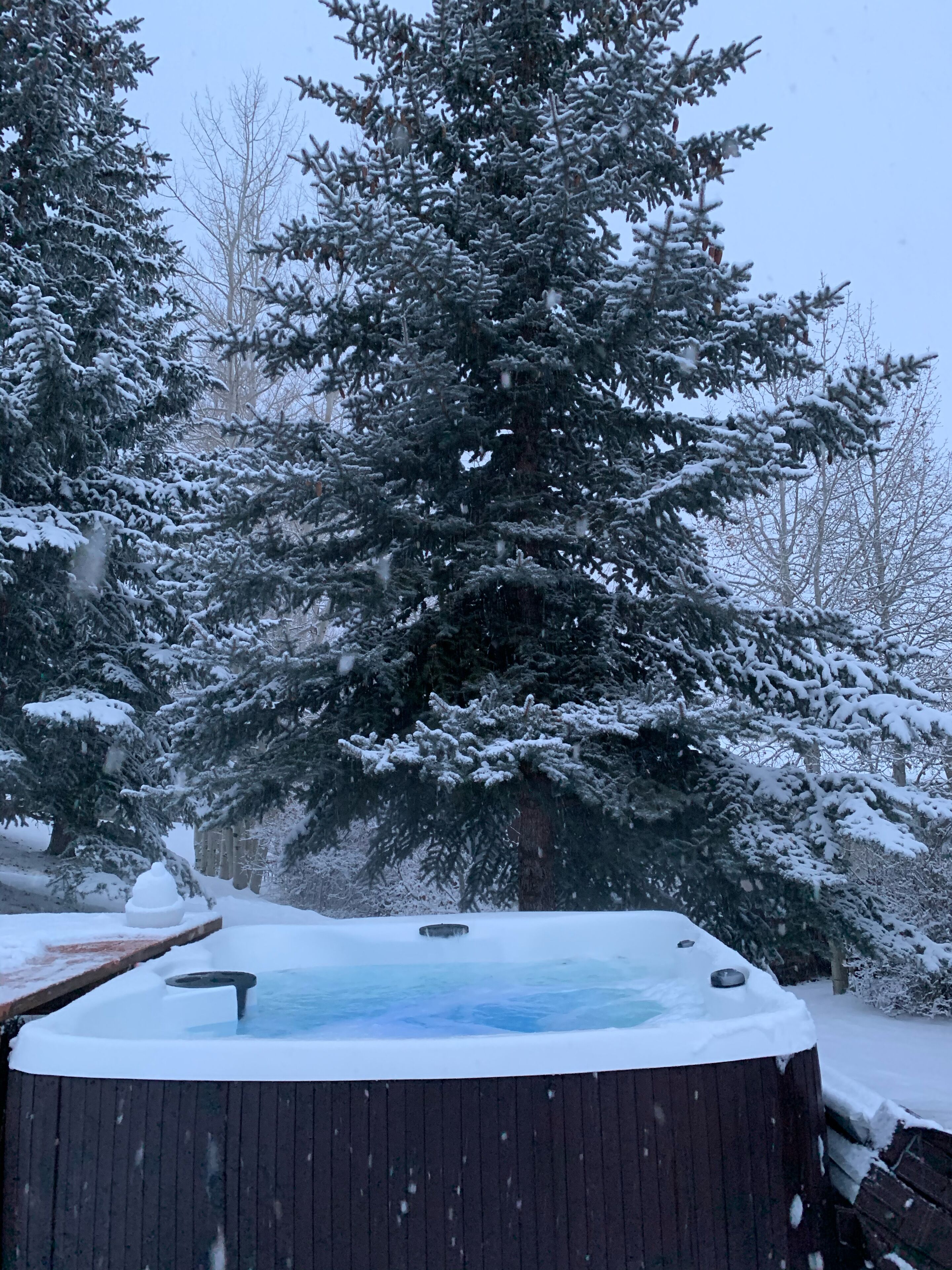 A hot tub surrounded by snow-covered trees.