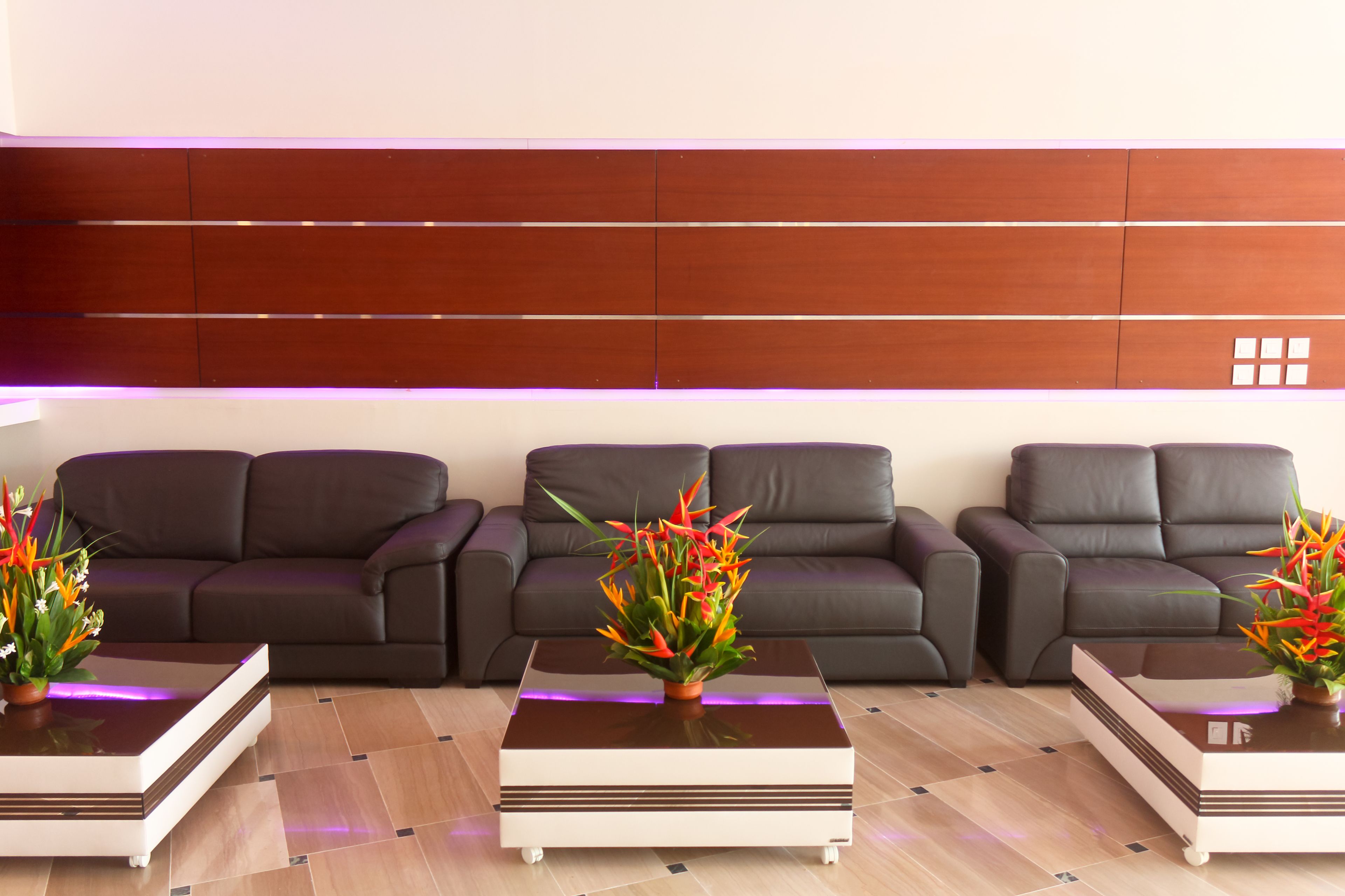 Una sala moderna con tres sofás de cuero oscuro dispuestos en fila, un cabecero de madera y dos mesas de centro cuadradas con jarrones de flores.